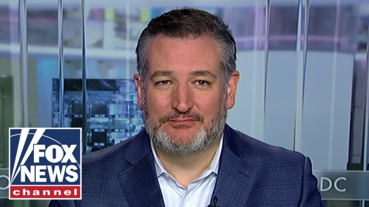 Ted Cruz: I’m Chuck Schumer’s number one target