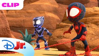 Spidey & Black Panther Stop a Giant Sandstorm | Marvel's Spidey and his Amazing Friends |@disneyjr