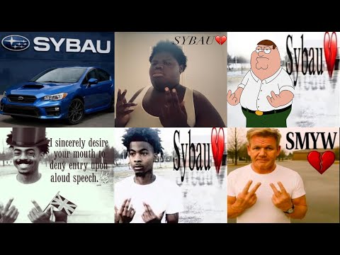 Sybau 💔 All Pic Variants Part 2