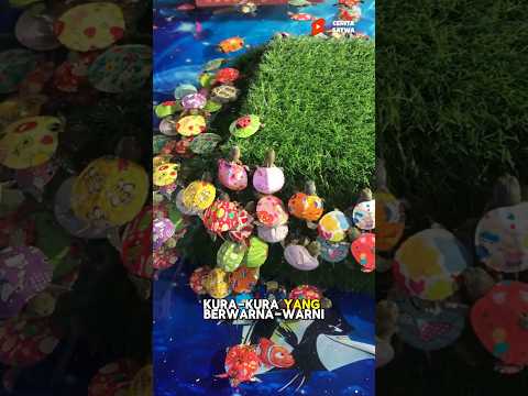 Cerita Penyelamatan Bayi Kura Kura Yang Di Cat Tempurungnya