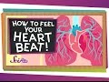 Understanding the Heart and Circulatory System