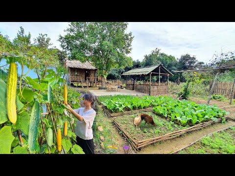 The process of Gardening, Harvesting, Cooking. Raising chickens, ducks... Alone in the mountains