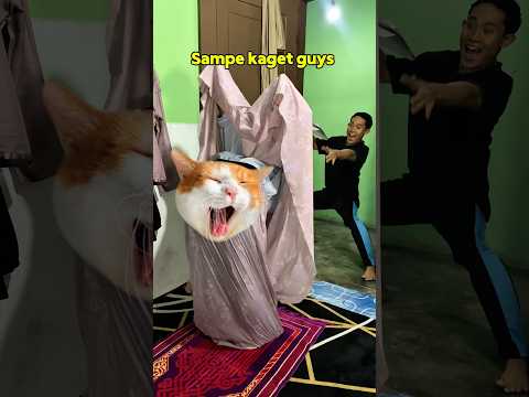 Ngerjain mas preman solat kebalik #shorts #comedy #bocilwargads #maspreman