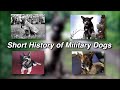 Military Dogs: Heroes in History