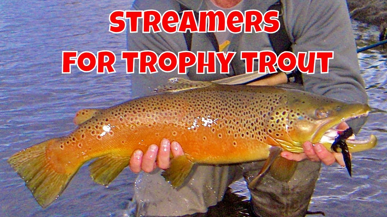 Streamers for Trophy Trout - How to Use Streamers - The New Fly Fisher