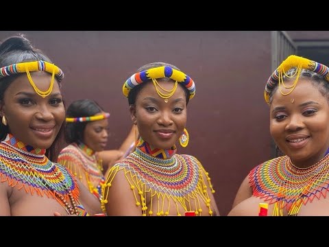 Zulu Tribe Ceremony Traditional Zulu African Dance