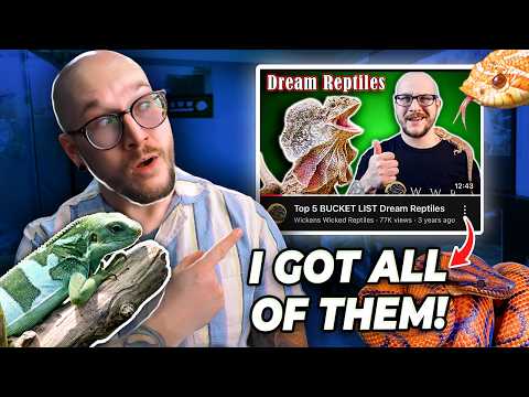 I Got ALL My Dream Reptiles! Let Me Introduce You