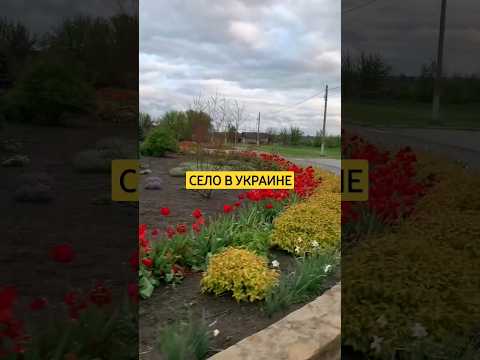 Село в Украине