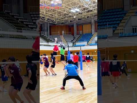 低身長なら拾え！ #バレーボール #バレーボール男子 #haikyuu