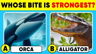 How Well Do You Know ANIMALS? 🐊🦈✅🧠 General Knowledge Trivia Quiz