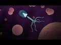 Understanding Phages and Their Medical Potential