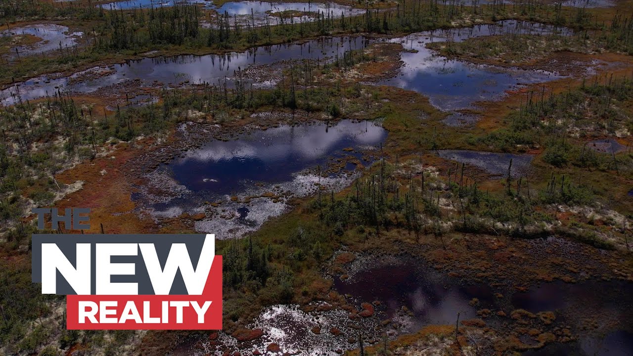 The Power of Peat: Canada’s Secret Weapon Against Climate Change