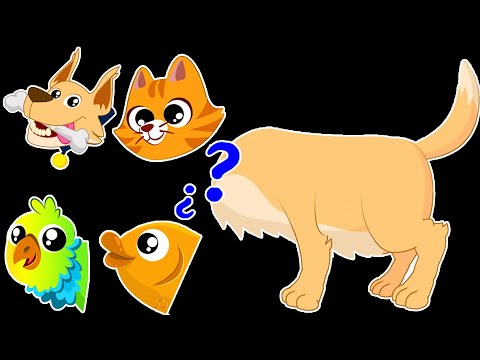 🐶😺🦜Aprende sobre los animales domésticos con Superzoo🐶😺🦜