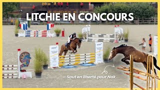 LITCHIE EN CONCOURS AVEC MON COACH ET DERNIÈRE SÉANCE DE SAUT POUR NAK 🔥