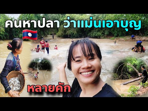 ฝนตกน้ำนอง ปลาเยอะมาก คนมาหาปลาว่าแม่นงานบุญ หลายคัก