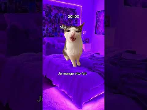 POV : la nuit avant mon anniversaire