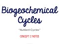 Exploring Biogeochemical Cycles in Ecology