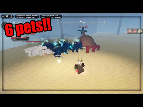 Sung Jin Woo no Rune slayer?? (Beast tamer pov)