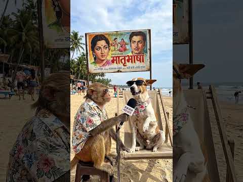 बात तो एकदम सही है... 😂 #dogeshbhai #comedy #AI #funny