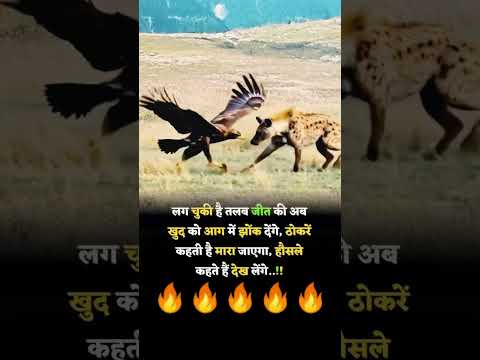 चील लकरबंगा को उठा लिया #shorts #yt