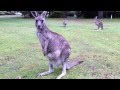ビデオの最後の部分に関するクイズ
