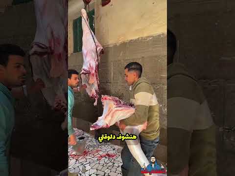 دبحت عجل بقري في يوم واحد وبعته للناس في الشارع الكيلو بجنيه p7🐄🤑🥇