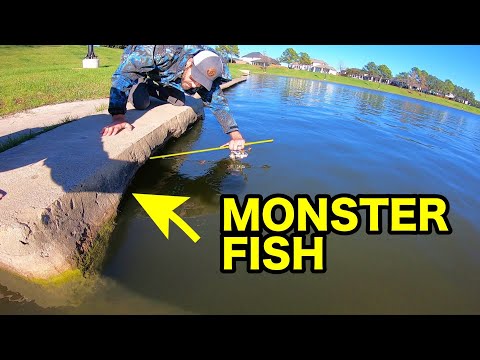 STICKING MY ROD UNDERGROUND for a GIANT FISH!!