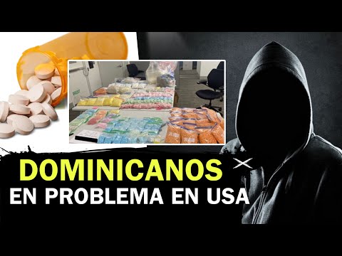 ENCUENTRAN LABORATORIO DE PASTILLAS FALSIFICADAS, COMANDADO POR DOMINICANO