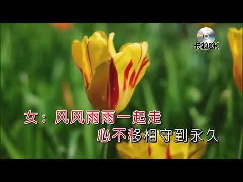 望海高歌–心不移相守導永久karaokeKTV 伴奏 左伴右唱 karaoke 卡拉OK 伴唱 instrumental望海高歌–心不移相守導永久karaoke