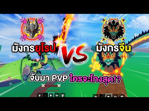 ผลมังกรจีน vs ผลมังกรยุโรป จับมาทดสอบ PVP กันตัวต่อตัว อันไหนจะโกงสุด! (Blox Fruits)