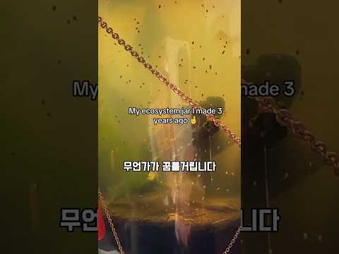 병 하나로 생태계를 재현하는 방법