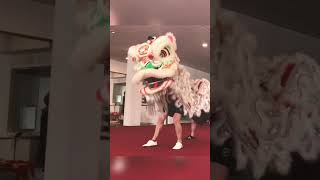 Getting ready for our next #liondance show! Picking the greens Ceremony is coming together well 💪🏻