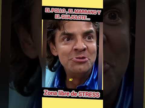 EL POLLO , EL MARRANO Y EL GUAJOLOTE #risagarantizada #humor #liberaSTRE #comedia #zonalibredestress