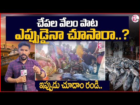 చేపల వేలం పాట  ఎప్పుడైనా చూసారా..||  Fish Market Vizag| Latest Fish Market || fish auction