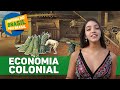 História Econômica do Brasil Colonial