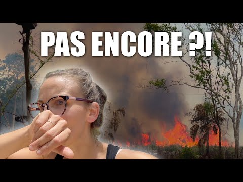 AH NON PAS ENCORE ?! Feu & Cuisine de printemps, au feu de bois (Non, je plaisante !)