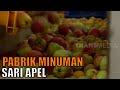 Apple Juice Production Process