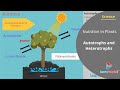 Nutrition Processes and Concepts
