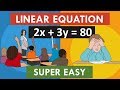 Understanding Linear Equations