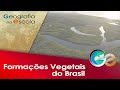 Vegetação e Biomas do Brasil