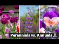 Annuals vs Perennials: Key Concepts