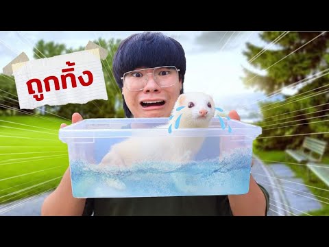ตัวอะไรก็ไม่รู้ถูกทิ้งไว้ ขาหลังเดินไม่ได้!!