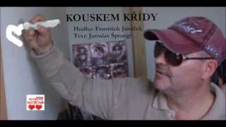 Michal David  Kouskem křídy