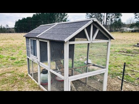 Tractor Supply Chicken Coop Coupon 01 2022 Tractor Supply Chicken Coop Coupon 01 2022