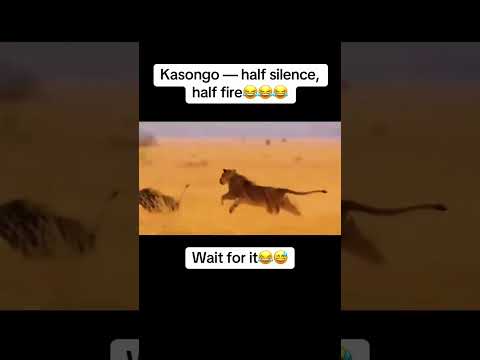 Kasongo king of kings๐๐๐๐ #subscribemychannel #subscribemychannel