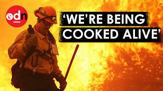 Terrifying Footage of Deadly Wildfires Sweeping Across Europe