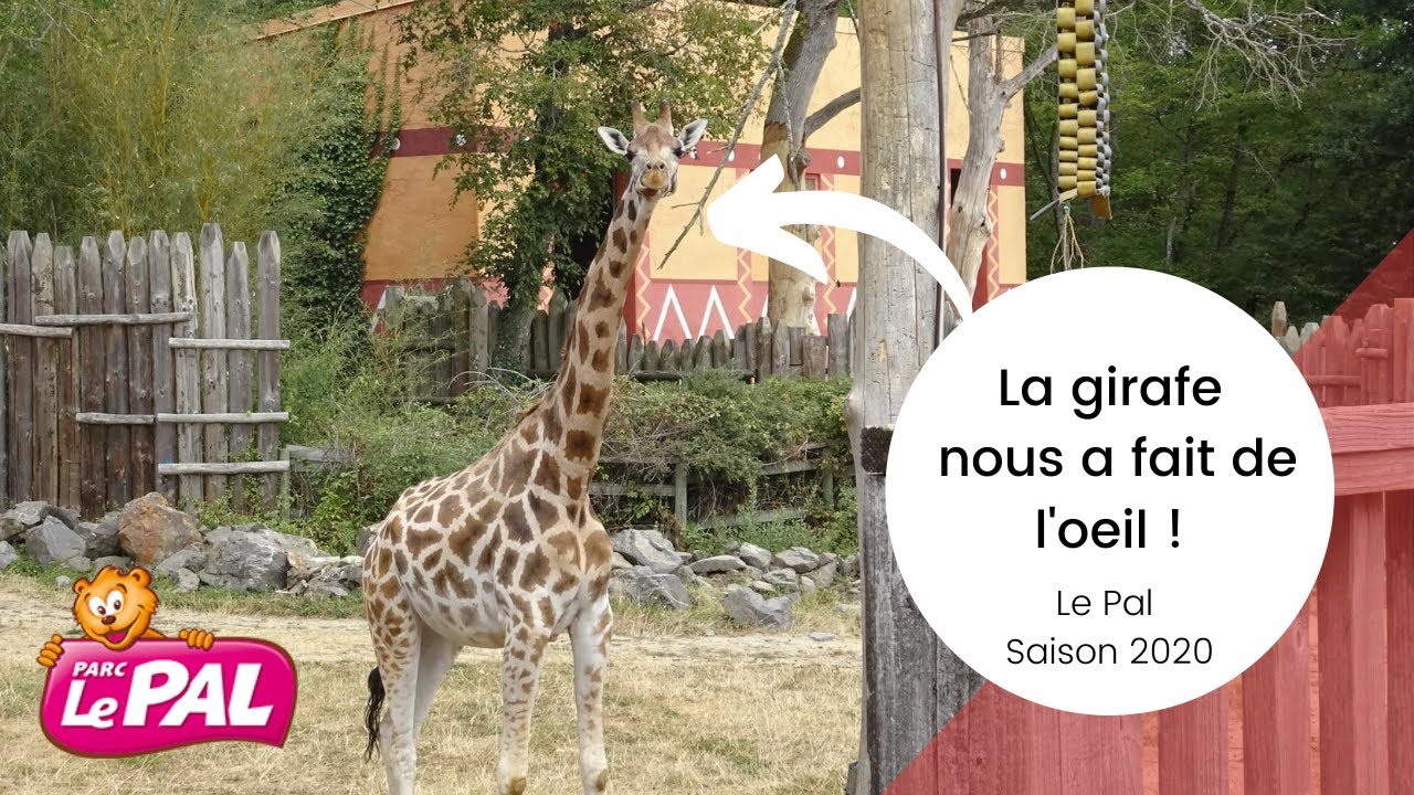 On découvre la partie zoologique du parc d&#39;attractions Le Pal