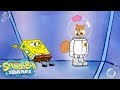 Sandy and SpongeBob's Shiny Trouble