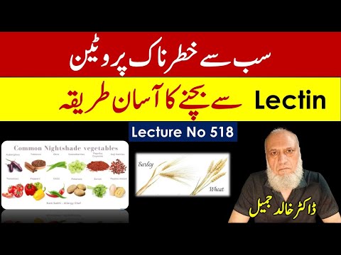 LECTINE : GUT Toxin Causing Leaky Gut | Lecture 518