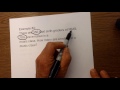Solving Percent Word Problems with Proportions